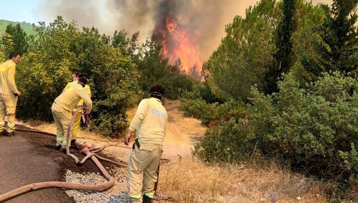 Balıkesir'de orman yangını: Havadan ve karadan müdahale ediliyor