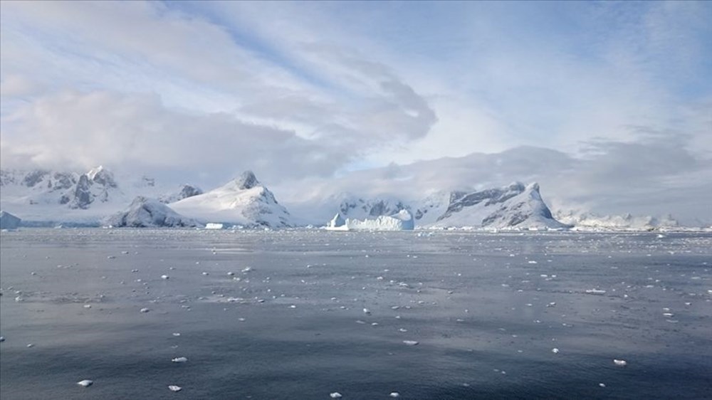 Antarktika'da eşsiz keşif: Dünyanın en büyük balık üreme kolonisi ortaya çıktı - 4