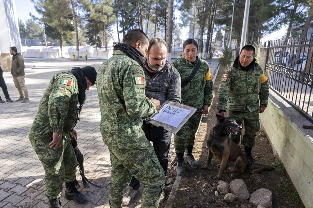 Meksika'nın arama kurtarma köpeği Proteo'ya Adıyaman'da hüzünlü veda: 3 kişinin enkazdan çıkmasını sağladı - 2