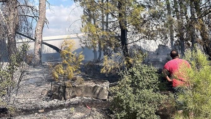 Muğla'da yangın paniği