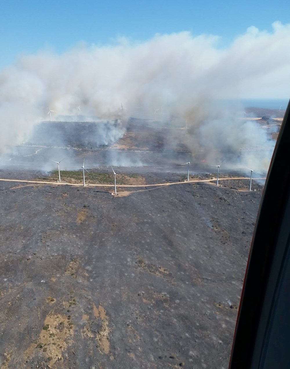 Datça'da orman yangını: Çıkış nedeni belli oldu - 25