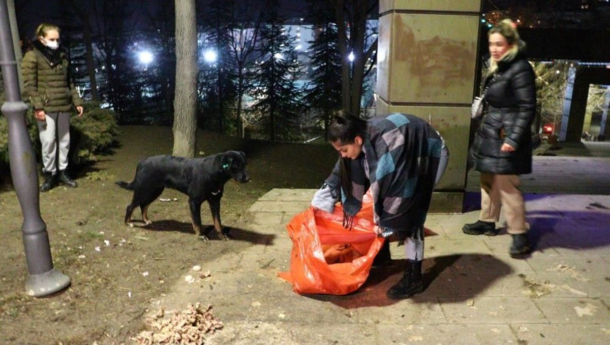 Köpek zehirlenerek öldürülen 8 yavrunun başından ayrılmadı