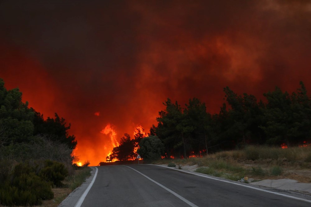 Çanakkale, Bolu, Manisa ve İzmir'de orman yangını: Çanakkale'de tarihi alana ulaşması önlendi - 24