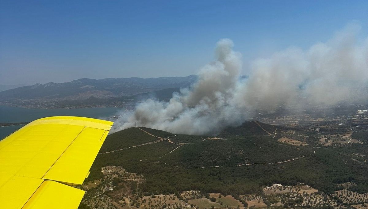 İzmir'de orman yangını: 2 site tahliye edildi