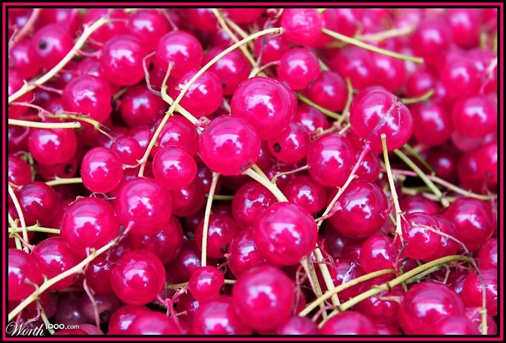 Pembe ve tonları - Son Dakika Yaşam Haberleri | NTV Haber