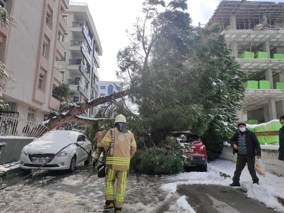 İstanbul'da dallarında kar biriken ağaç otomobilin üzerine devrildi - 1