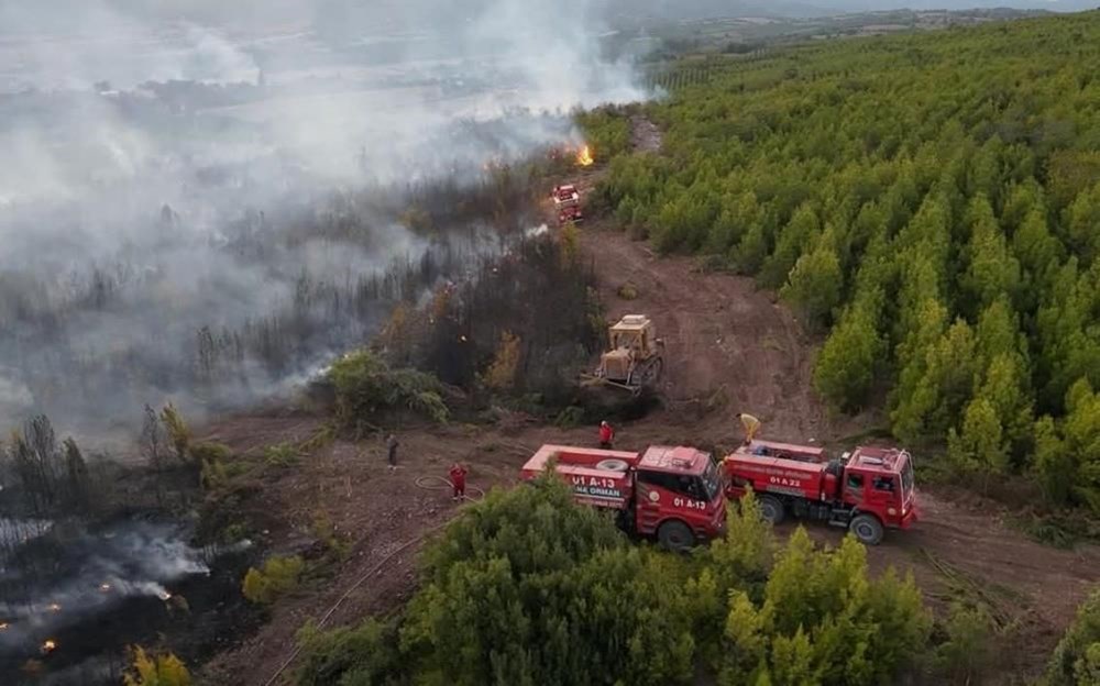 Orman yangınlarında son durum | Osmaniye'deki yangından acı haber: Bir şehit, dört yaralı - 2