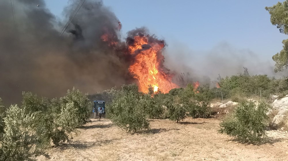Türkiye güne yangınla başladı... 3 ilde orman yangını: Sıcaklıklar artıyor, iki güne dikkat! - 2