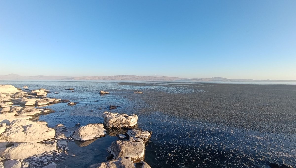 Van Gölü kıyısında oluştu: 