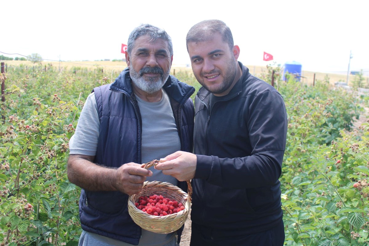 15F2-Lw8qUKNE17kViRfWA.jpg