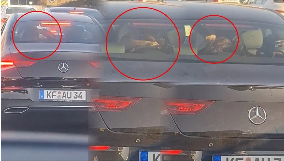 İstanbul'da dehşet anları kamerada: Trafikte eşini dakikalarca dövdü İstanbul'da dehşet anları kamerada: Trafikte eşini dakikalarca dövdü