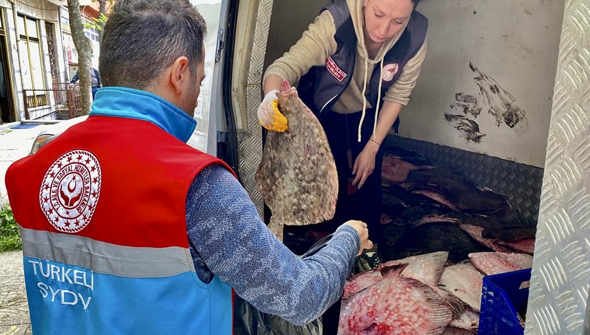 Kaçak yolla avlanan 340 kalkan balığı ele geçirildi Kaçak yolla avlanan 340 kalkan balığı ele geçirildi