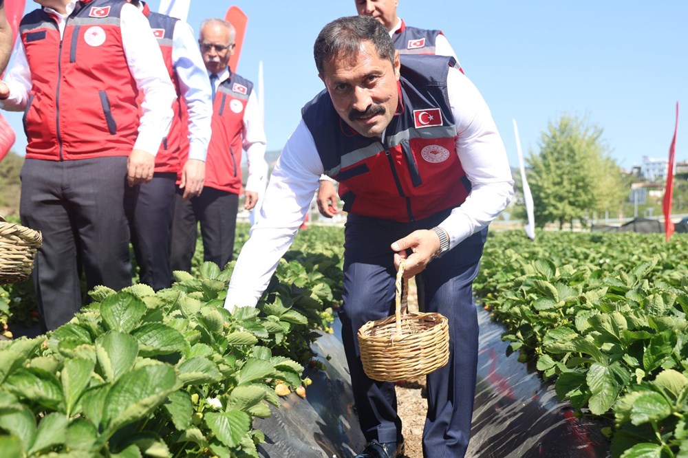 Ünü Türkiye sonlarını aştı: Bereketli hasat başladı 78 16lHHzO H0SzLbM7N93K w