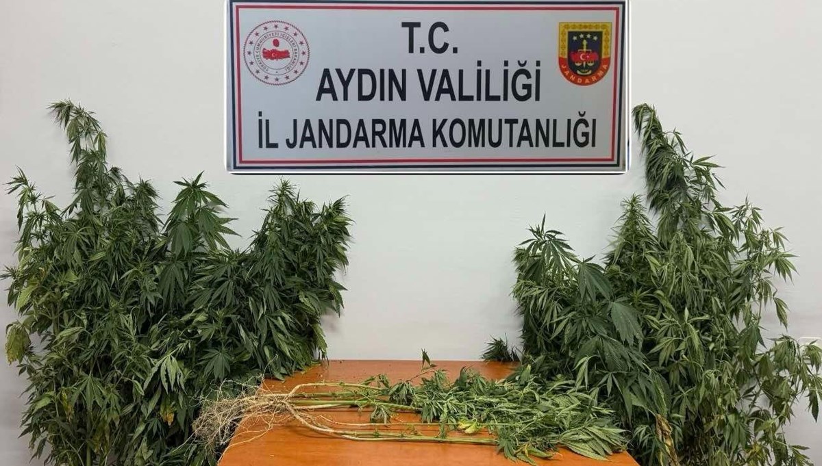 Aydın'da uyuşturcu operasyonu