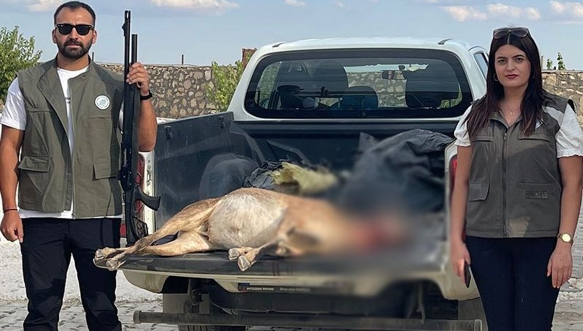 Tunceli'de yaban keçisi avlayan kişiye 253 bin lira ceza