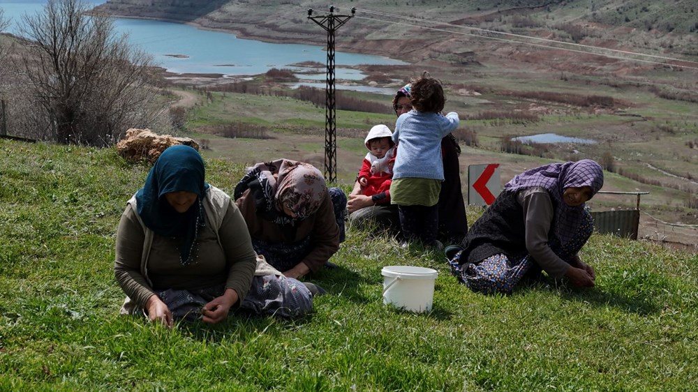 Bin bir zahmetle elle tek tek toplanan bitki: Gribe yeterli geliyor, idrar sökücü özelliği var 76 19TdC1XCIEihh50kuaFGYw