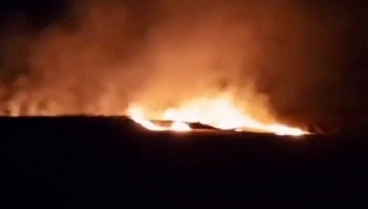 Tekirdağ'da buğday tarlası yandı