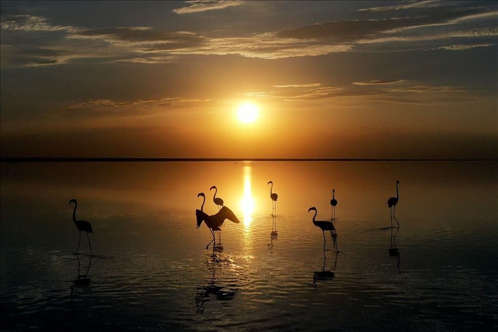 Haftanın fotoğrafları (4-10 Temmuz 2020) - 7