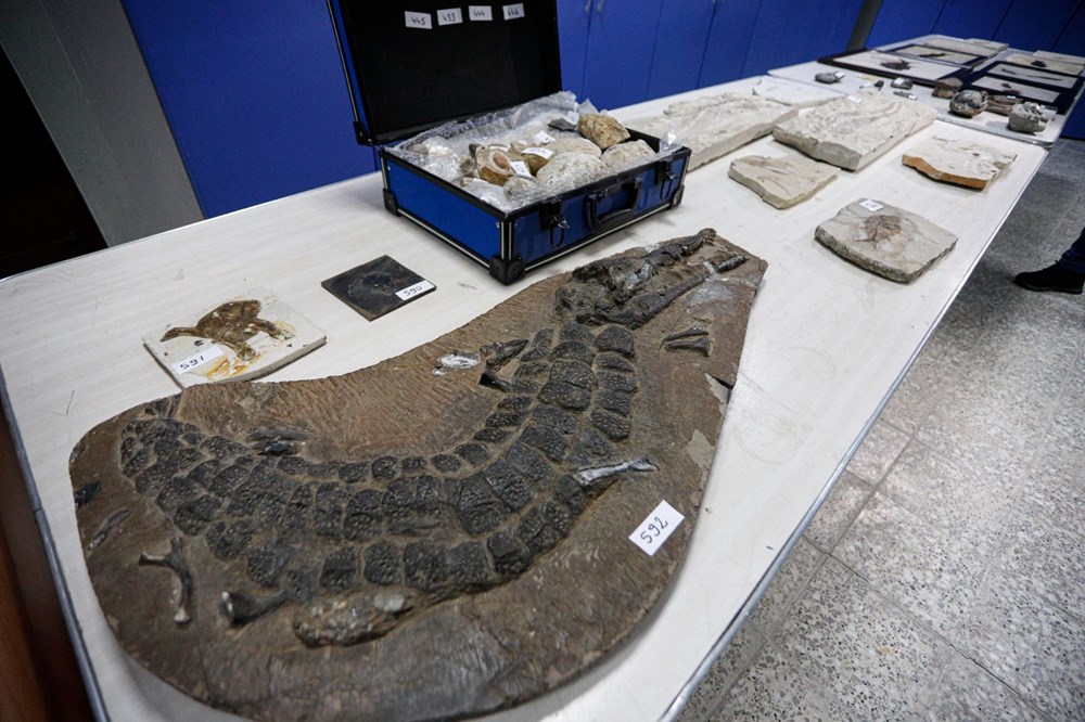 Adnan Oktar'ın kaçak fosilleri 417 milyon yıl öncesine ait çıktı - 9