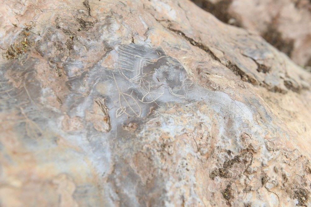 Mersin’de bir mağarada bulunan 8 bin yıllık kaya resimleri koruma altına alınıyor - 6