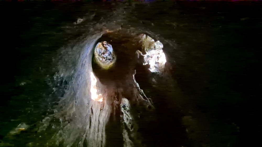 330 yıllık çınar ağacı: 2 devlet, 15 padişah, 12 cumhurbaşkanı gördü 76 1D2DFE5EuE Hu7dCgThwdg