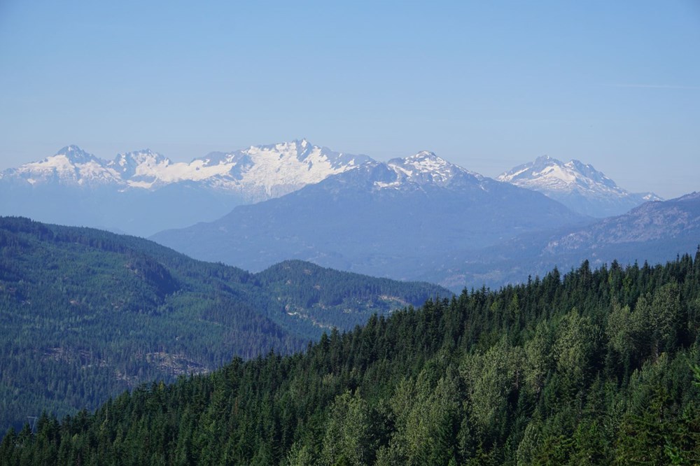 Alp Buzulları’nın erimesiyle 9 bin 500 yıllık tarihi eserler ortaya çıktı - 2