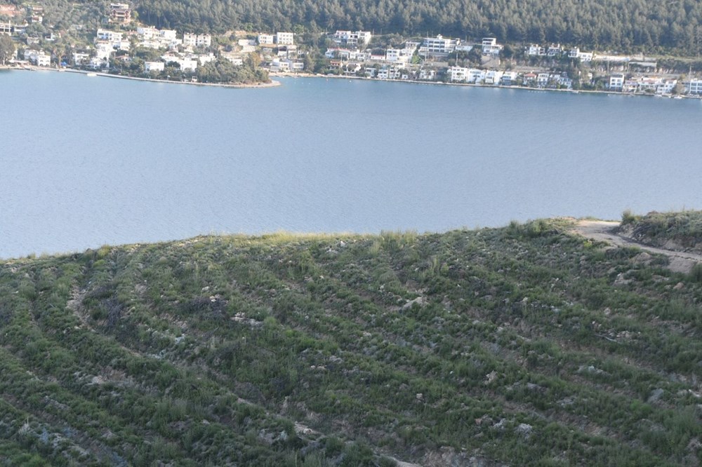 Bodrum'da yanan orman alanları yeşermeye başladı - 7