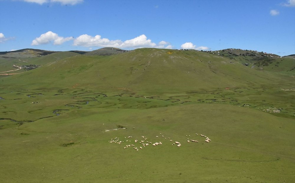 Karadeniz'in menderesleriyle ünlü Perşembe Yaylası doğaseverleri ağırlıyor - 22