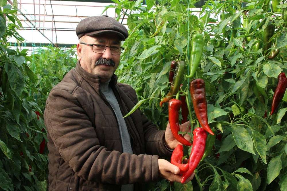 Halk arasında "kör duman" adıyla biliniyor: Senenin yarısını güneş görmeden geçiriyorlar - 9