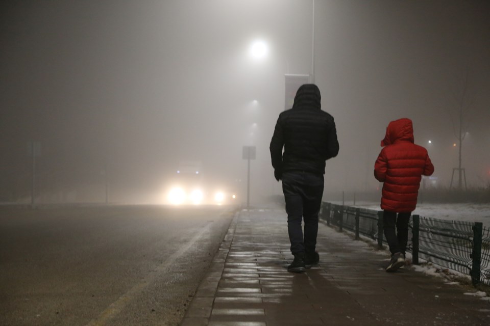 Ağrı ve Erzurum'da yoğun sis etkili oluyor - 2