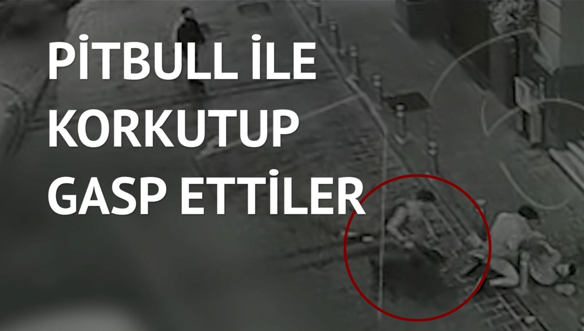 Beyoğlu’ndaki Pitbull çetesine operasyon