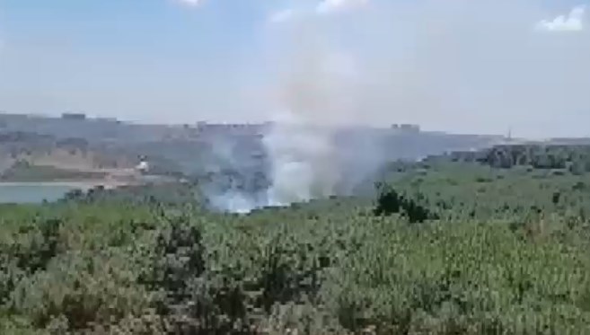 Sultangazi Kent Ormanı'nda yangın