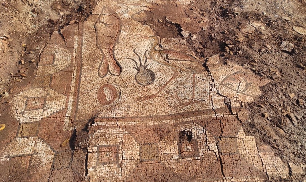 Mardin'de kurtarma kazısında deniz canlıları figürlü mozaikler bulundu - 6