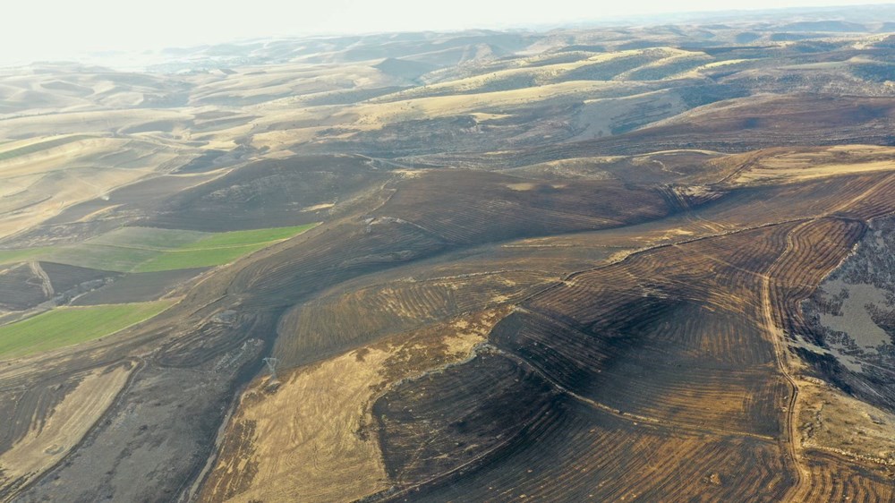 Diyarbakır ve Mardin arasında anız yangını: 5 can kaybı var, 10'u ağır 44 kişi tedavi altında - 6