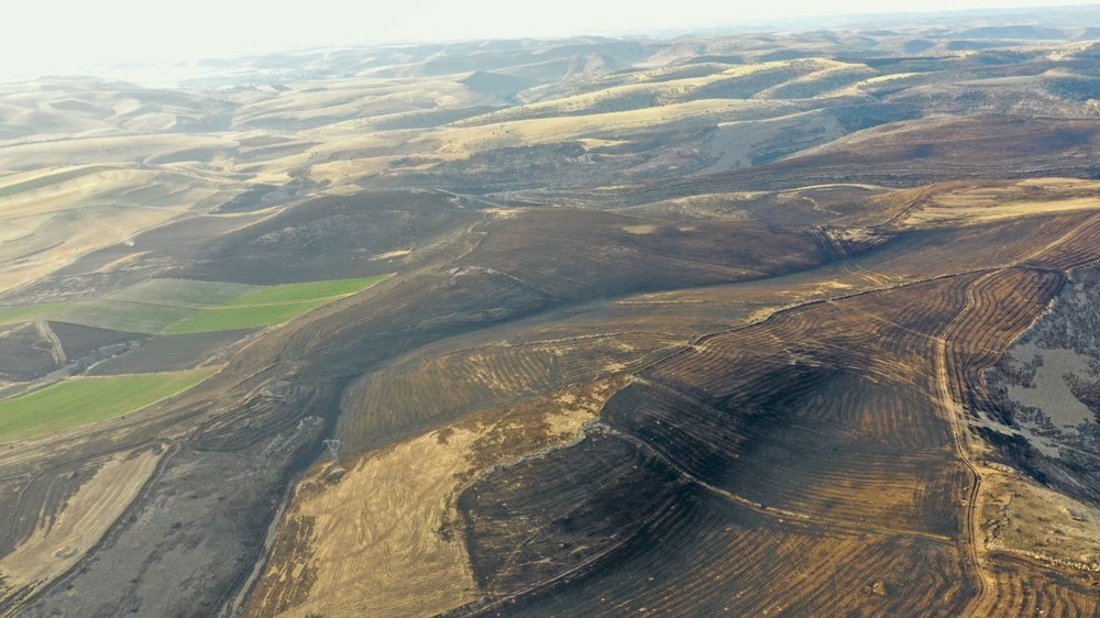 Diyarbakır ve Mardin arasında anız yangını: 5 can kaybı var, 10'u ağır 44 kişi tedavi altında - 7
