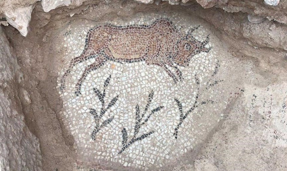 Hadrianaupolis'te Anadolu'nun en eski kiliselerinden biri bulundu - 2