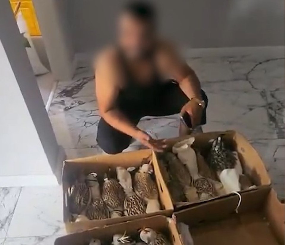 Sosyal medyada gündem olmuşlardı: Kuş çetesine Silivri'de baskın! - 2