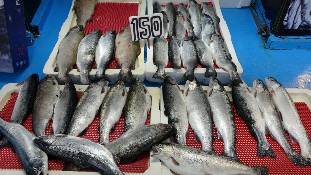 Yasak başladı: Tezgâhlar onlara kaldı 76 1NtvehOE30mZOz480YlRWg