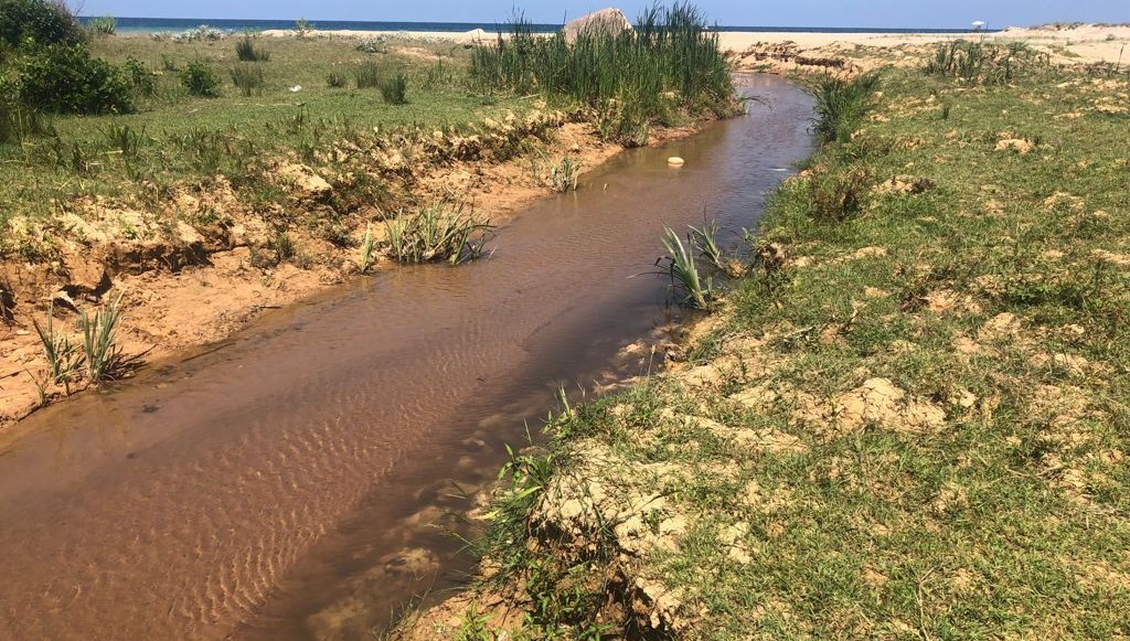 Şile Sahili'nde 'çamur' isyanı