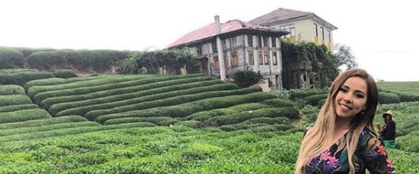 Sosyal medyada ünlenen Rize'deki çay tarlası turist akınına uğruyor