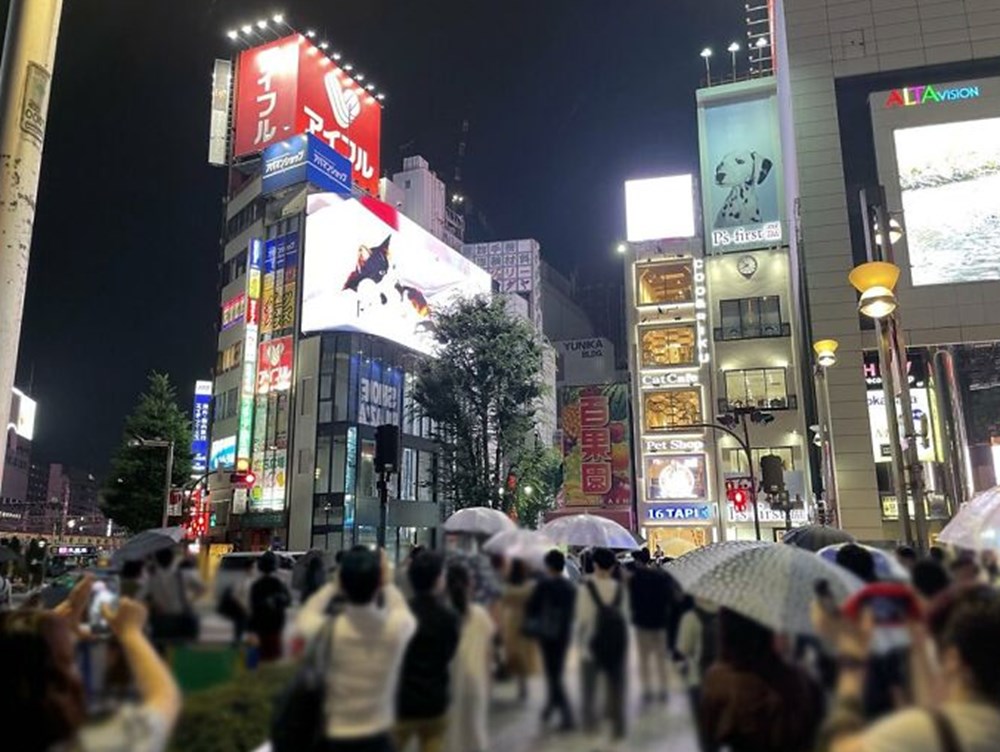 Tokyo's new guest 3D cat: He watches the city and greets the public - 6