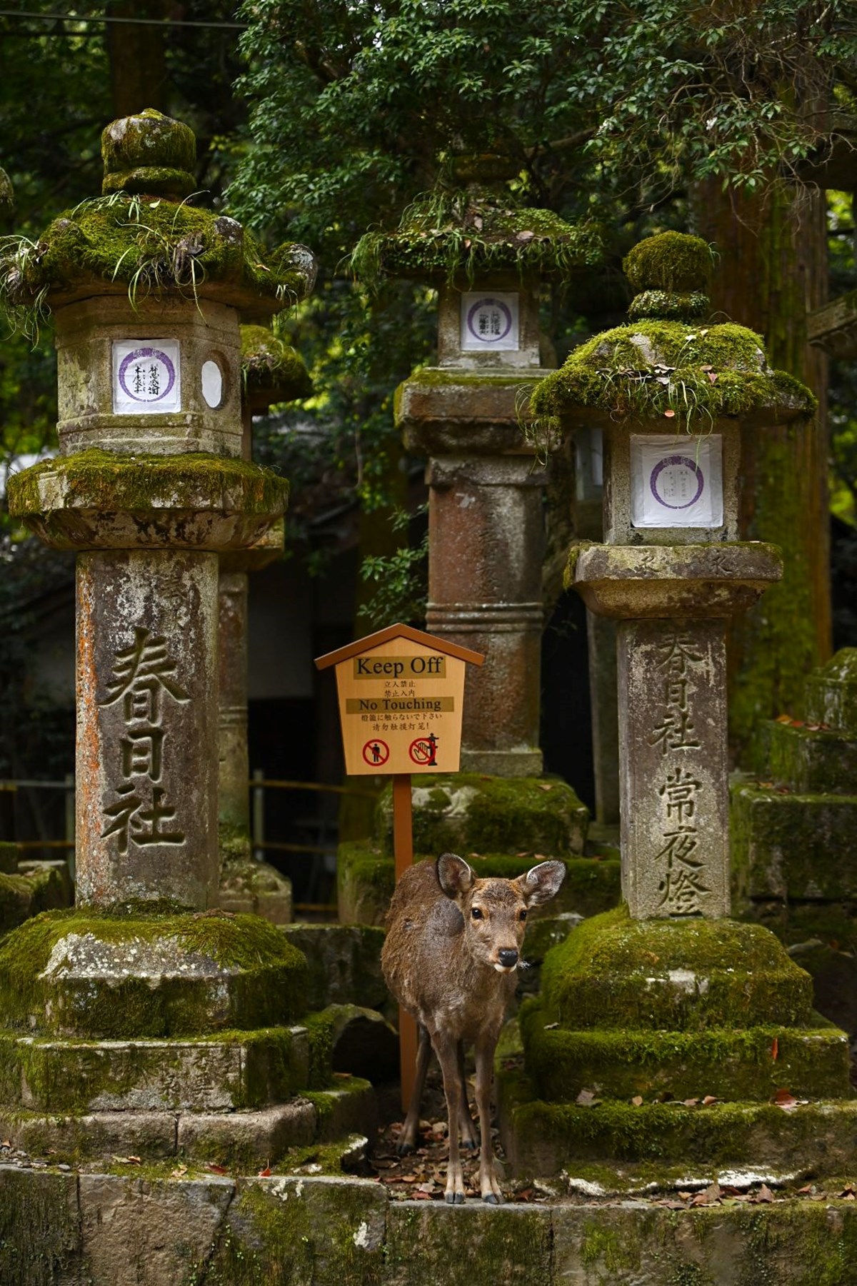 1SKqxdbWT0mp6V1eDt5oOw.jpg