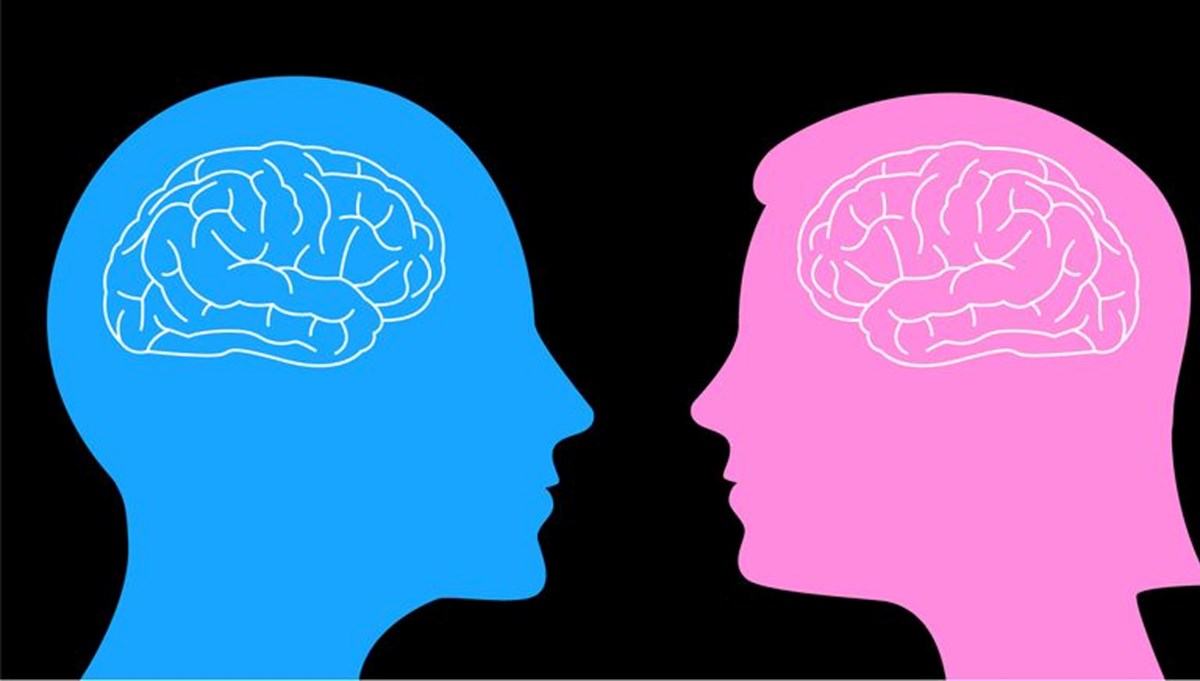 Erkek ve kadın beyni birbirinden farklı mı çalışıyor? Yaygın teoriler çürütüldü