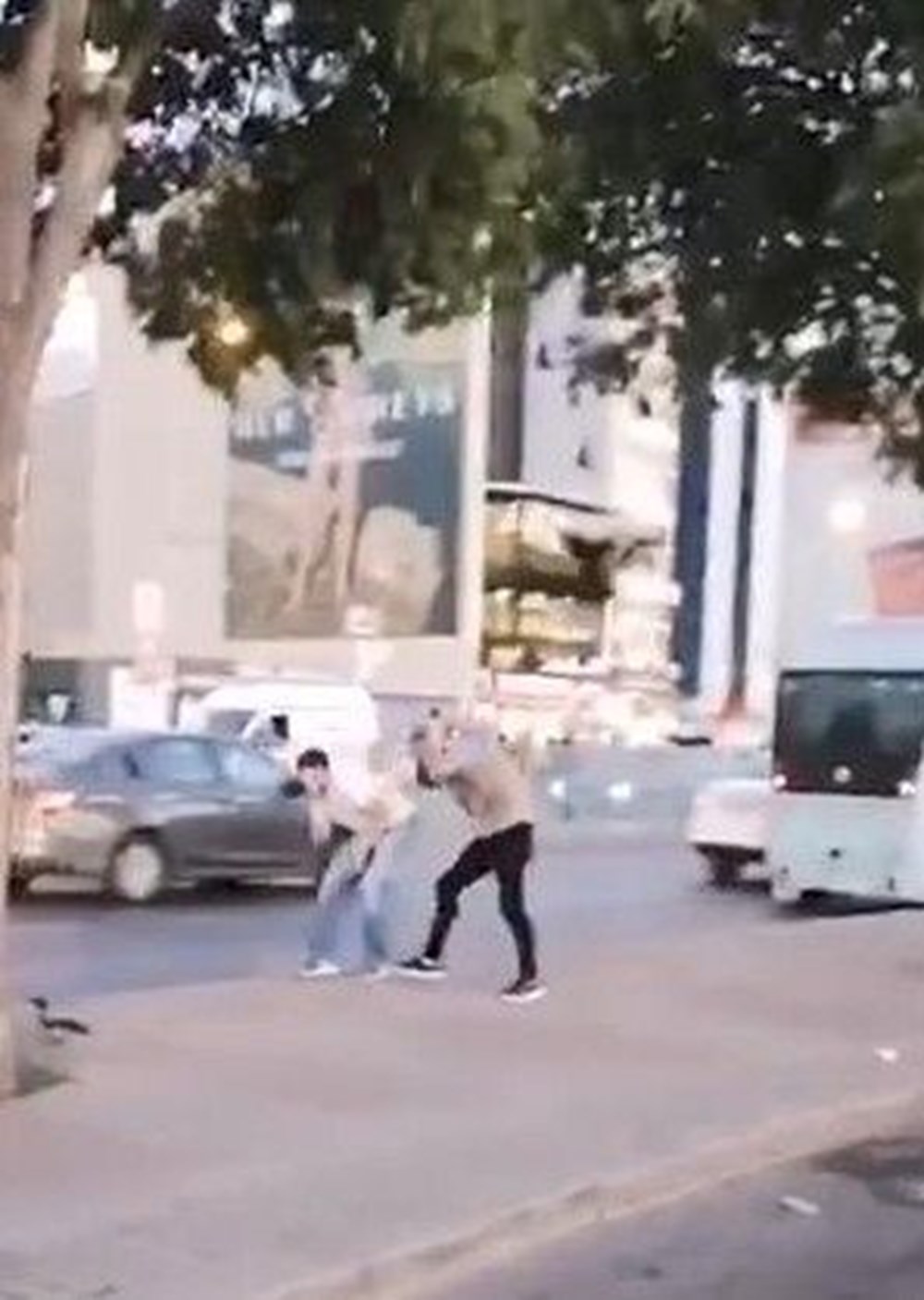 Kadıköy'de karga saldırısı - 2