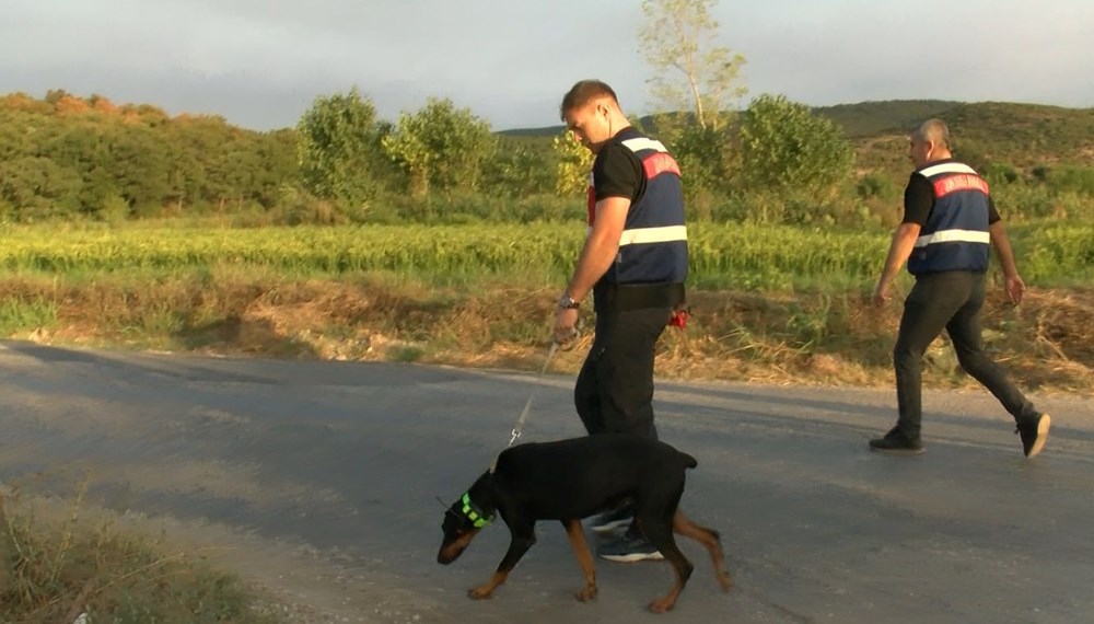 Arama çalışmalarında 85'inci gün | Korhan Berzeg'in köpeği Tina'nın tahlil sonuçları belli oldu - 8