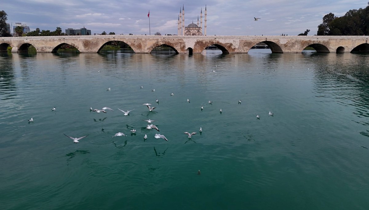 Seyhan Nehri'ne su verildi, eski ihtişamına kavuştu