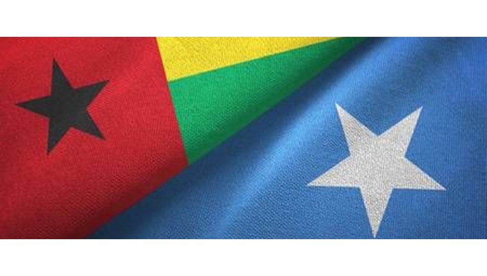 Somali, Gine ile diplomatik ilişkisini kesti