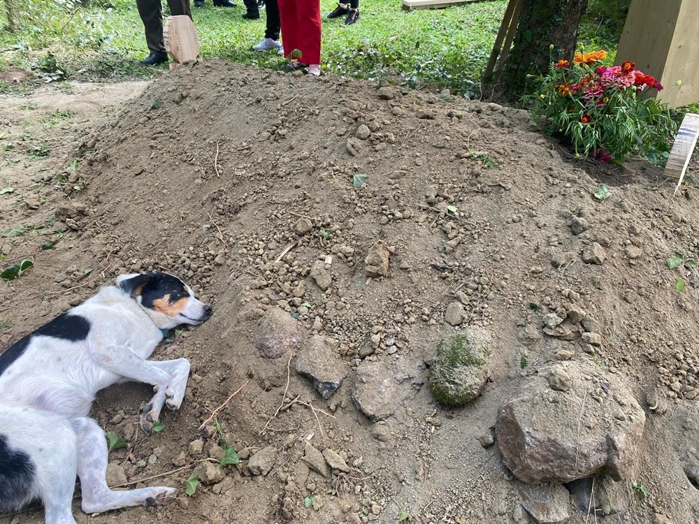 Teo, sahibinin mezarının başından ayrılmadı - 5