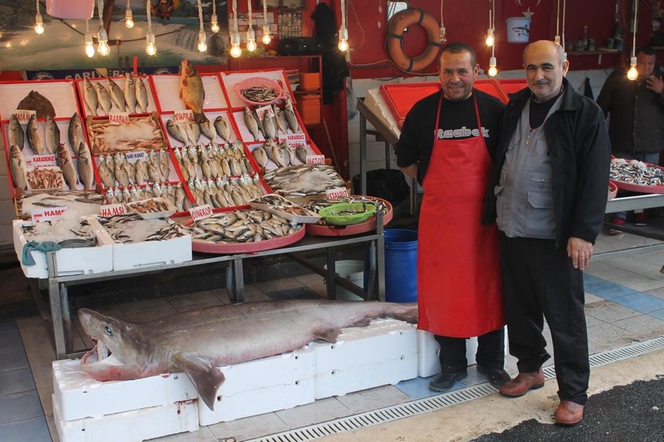 Sarıyer'de 2.5 metrelik köpek balığı yakalandı - 1
