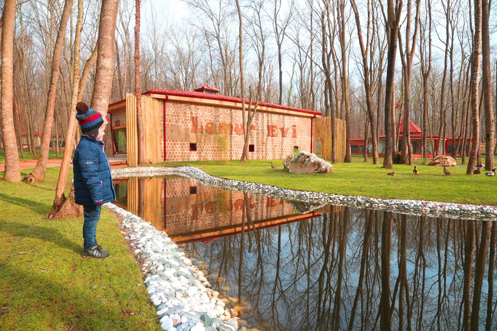 Avrupa'n�n en b�y�k do�al ya�am merkezi Ormanya